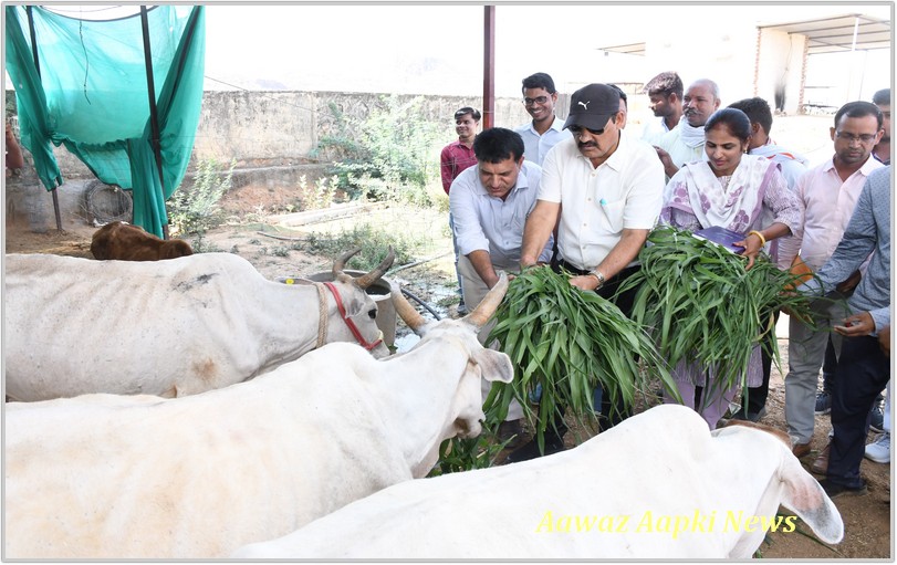 सम्भागीय आयुक्त ने मलारना डूंगर में जल जीवन मिशन योजना के तहत नल कनेक्शन का किया निरीक्षण