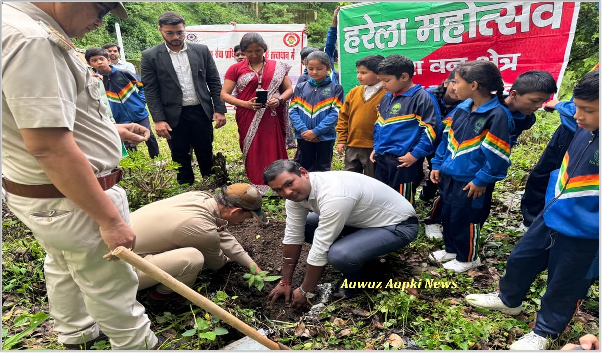 वन विभाग एवं विद्यालय के शिक्षकों व छोटे छोटे बच्चों ने किया बृक्षारोपण