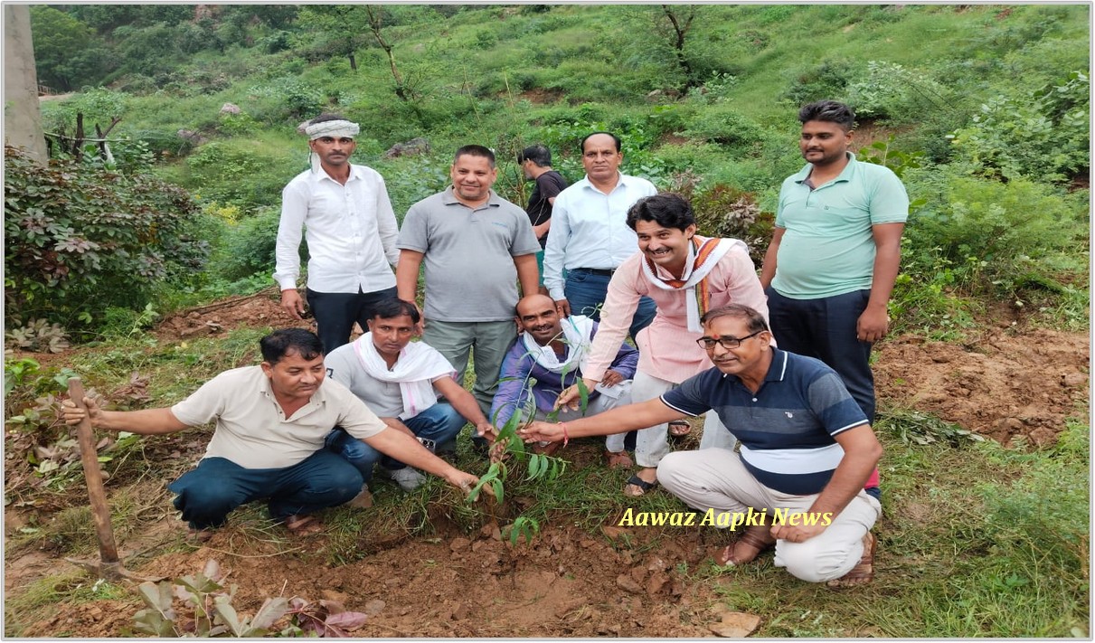 स्वर्गीय सरपंच रघुवीर मीणा की जयंती पर किया पौधारोपण